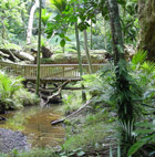 Ecology Bush Trail brochure